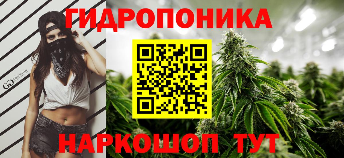Канабис марихуана Зеленогорск